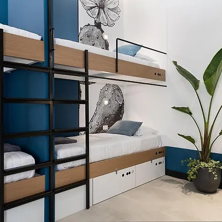Cocoon * La Canea