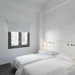 Auberge de jeunesse Cocoon *