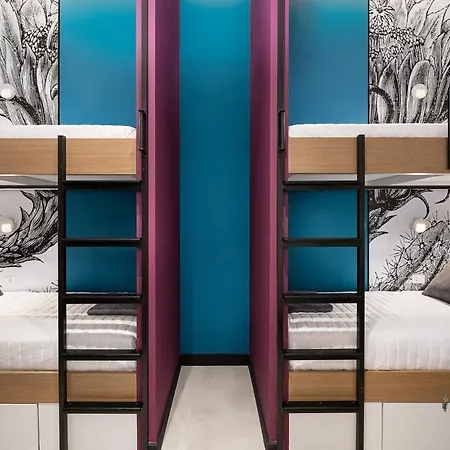 Cocoon אכסניה *